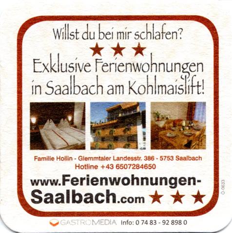 saalbach s-a gondelstube 1b (quad185-ferienwohnungen)